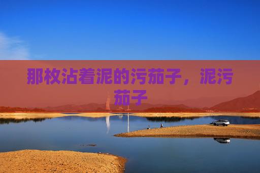 那枚沾着泥的污茄子，泥污茄子