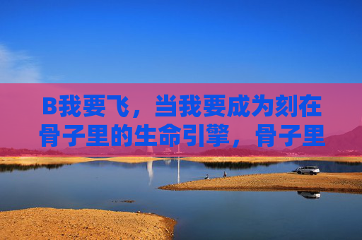 B我要飞，当我要成为刻在骨子里的生命引擎，骨子里的飞行生命引擎