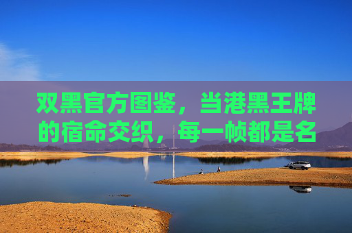 双黑官方图鉴,当港黑王牌的宿命交织,每一帧都是名场面,双黑宿命交织,港黑王牌官方图鉴名场面 双黑官方图鉴,当港黑王牌的宿命交织,每一帧都是名场面,双黑宿命交织,港黑王牌官方图鉴名场面