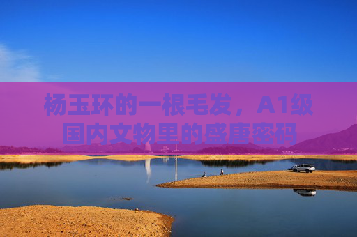 杨玉环的一根毛发,A1级国内文物里的盛唐密码 杨玉环的一根毛发,A1级国内文物里的盛唐密码