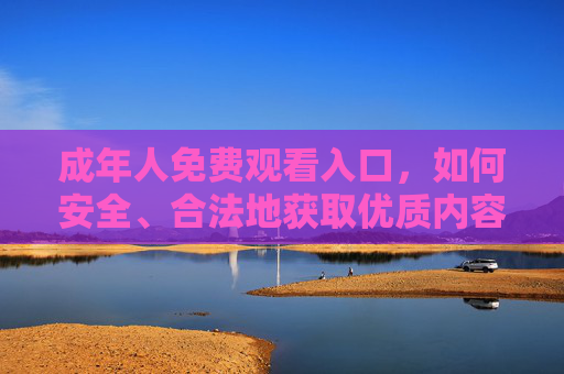 成年人免费观看入口，如何安全、合法地获取优质内容，成年人安全合法免费获取优质内容指南