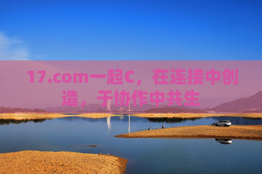 17.com一起C,在连接中创造,于协作中共生 17.com一起C,在连接中创造,于协作中共生