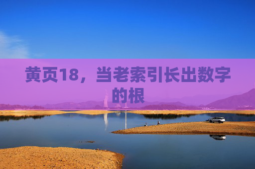 黄页18,当老索引长出数字的根 黄页18,当老索引长出数字的根