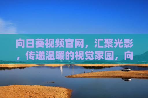 向日葵视频官网，汇聚光影，传递温暖的视觉家园，向日葵视频官网，光影汇聚的温暖视觉家园