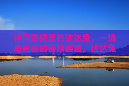 神马影院里的达达兔,一场与光影的奇妙邂逅,达达兔与光影的奇妙邂逅 神马影院里的达达兔,一场与光影的奇妙邂逅,达达兔与光影的奇妙邂逅