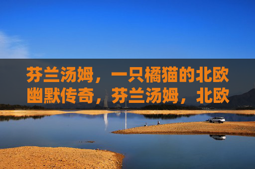 芬兰汤姆,一只橘猫的北欧幽默传奇,芬兰汤姆,北欧橘猫的幽默传奇 芬兰汤姆,一只橘猫的北欧幽默传奇,芬兰汤姆,北欧橘猫的幽默传奇