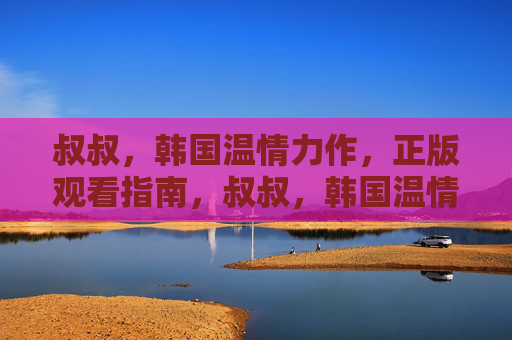 叔叔，韩国温情力作，正版观看指南，叔叔，韩国温情力作正版观看指南
