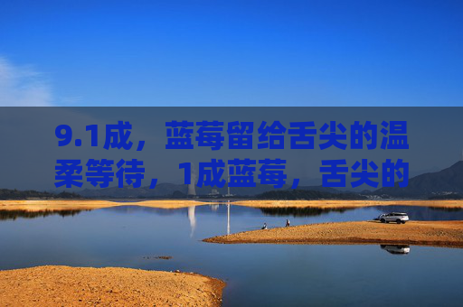 9.1成,蓝莓留给舌尖的温柔等待,1成蓝莓,舌尖的温柔等待 9.1成,蓝莓留给舌尖的温柔等待,1成蓝莓,舌尖的温柔等待