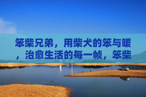 笨柴兄弟,用柴犬的笨与暖,治愈生活的每一帧,笨柴的笨与暖,治愈生活每一帧 笨柴兄弟,用柴犬的笨与暖,治愈生活的每一帧,笨柴的笨与暖,治愈生活每一帧