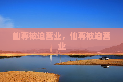 仙尊被迫营业,仙尊被迫营业 仙尊被迫营业,仙尊被迫营业