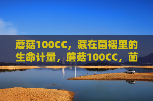 蘑菇100CC,藏在菌褶里的生命计量,蘑菇100CC,菌褶里的生命计量 蘑菇100CC,藏在菌褶里的生命计量,蘑菇100CC,菌褶里的生命计量