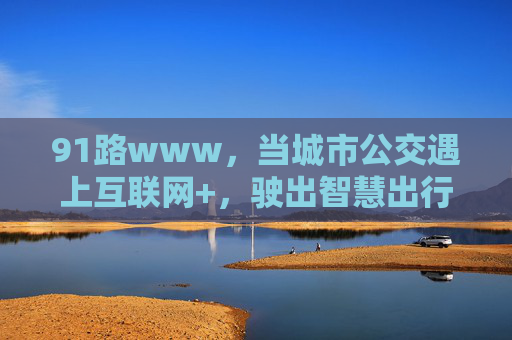 91路www，当城市公交遇上互联网+，驶出智慧出行新航线，91路，互联网+赋能公交，驶出智慧出行新航线