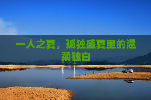 一人之夏，孤独盛夏里的温柔独白
