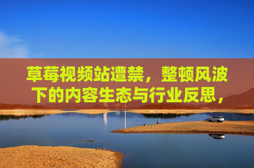 草莓视频站遭禁，整顿风波下的内容生态与行业反思，草莓视频站遭禁，整顿风暴下的内容生态之变与行业反思