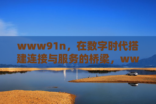 www91n，在数字时代搭建连接与服务的桥梁，www91n，数字时代的连接与服务桥梁