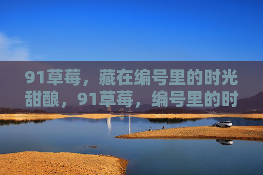 91草莓,藏在编号里的时光甜酿,91草莓,编号里的时光甜酿 91草莓,藏在编号里的时光甜酿,91草莓,编号里的时光甜酿
