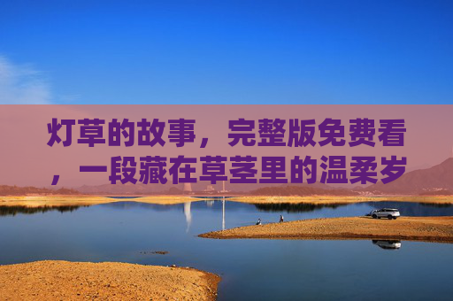 灯草的故事,完整版免费看,一段藏在草茎里的温柔岁月,藏在草茎里的温柔岁月 灯草的故事,完整版免费看,一段藏在草茎里的温柔岁月,藏在草茎里的温柔岁月