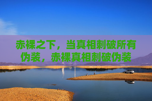 赤裸之下，当真相刺破所有伪装，赤裸真相刺破伪装