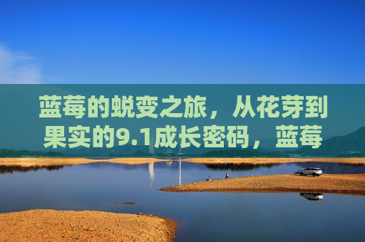 蓝莓的蜕变之旅,从花芽到果实的9.1成长密码,蓝莓的蜕变之旅,从花芽到果实的9.1成长密码 蓝莓的蜕变之旅,从花芽到果实的9.1成长密码,蓝莓的蜕变之旅,从花芽到果实的9.1成长密码