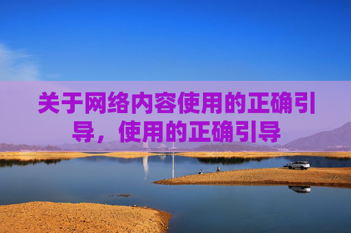 关于网络内容使用的正确引导,使用的正确引导 关于网络内容使用的正确引导,使用的正确引导