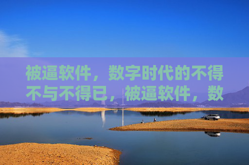 被逼软件，数字时代的不得不与不得已，被逼软件，数字时代的不得不与不得已
