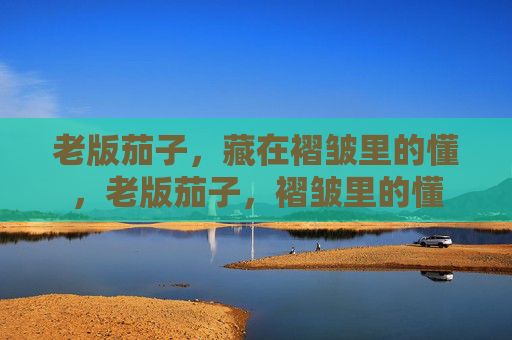 老版茄子,藏在褶皱里的懂,老版茄子,褶皱里的懂 老版茄子,藏在褶皱里的懂,老版茄子,褶皱里的懂