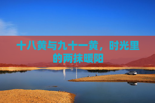十八黄与九十一黄，时光里的两抹暖阳