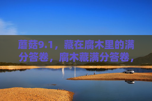 蘑菇9.1，藏在腐木里的满分答卷，腐木藏满分答卷，蘑菇9.1