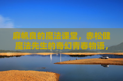 麻帆良的魔法课堂,赤松健魔法先生的奇幻青春物语,麻帆良魔法课堂,赤松健的奇幻青春物语 麻帆良的魔法课堂,赤松健魔法先生的奇幻青春物语,麻帆良魔法课堂,赤松健的奇幻青春物语