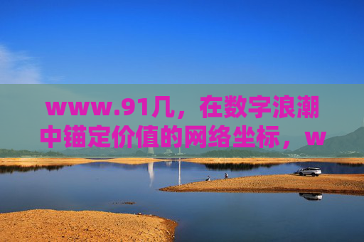 www.91几，在数字浪潮中锚定价值的网络坐标，www.91几，数字浪潮中的价值锚定坐标