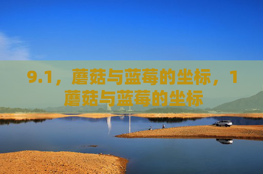 9.1,蘑菇与蓝莓的坐标,1 蘑菇与蓝莓的坐标 9.1,蘑菇与蓝莓的坐标,1 蘑菇与蓝莓的坐标