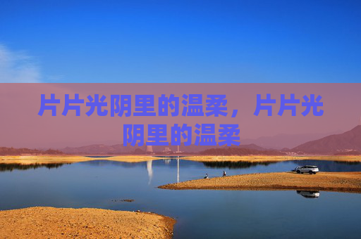 片片光阴里的温柔,片片光阴里的温柔 片片光阴里的温柔,片片光阴里的温柔