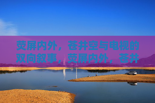 荧屏内外，苍井空与电视的双向叙事，荧屏内外，苍井空与电视的双向叙事