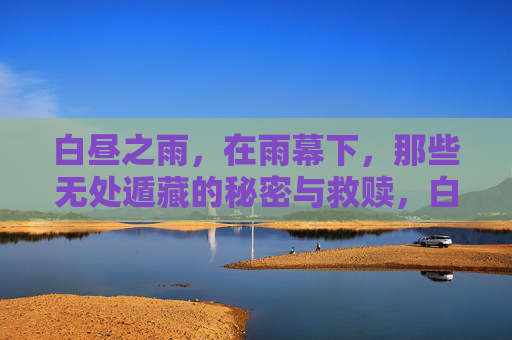 白昼之雨，在雨幕下，那些无处遁藏的秘密与救赎，白昼雨幕，无处遁藏的秘密与救赎