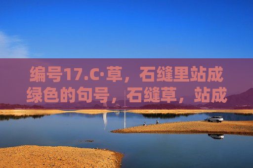 编号17.C·草,石缝里站成绿色的句号,石缝草,站成绿色句号 编号17.C·草,石缝里站成绿色的句号,石缝草,站成绿色句号