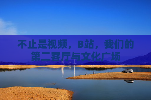 不止是视频,B站,我们的第二客厅与文化广场 不止是视频,B站,我们的第二客厅与文化广场