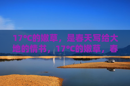 17℃的嫩草,是春天写给大地的情书,17℃的嫩草,春天写给大地的情书 17℃的嫩草,是春天写给大地的情书,17℃的嫩草,春天写给大地的情书