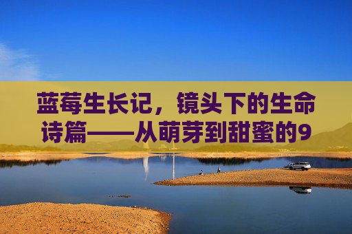 蓝莓生长记，镜头下的生命诗篇——从萌芽到甜蜜的9个月旅程，镜头下的蓝莓生命诗篇，萌芽到甜蜜的9个月