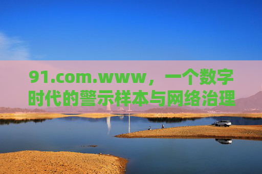 91.com.www，一个数字时代的警示样本与网络治理的进化之路，数字时代警示样本，91.com与网络治理进化之路