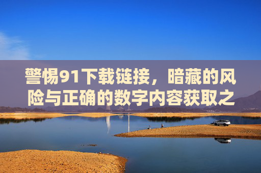 警惕91下载链接，暗藏的风险与正确的数字内容获取之道，警惕91下载链接，风险与数字内容正确获取之道