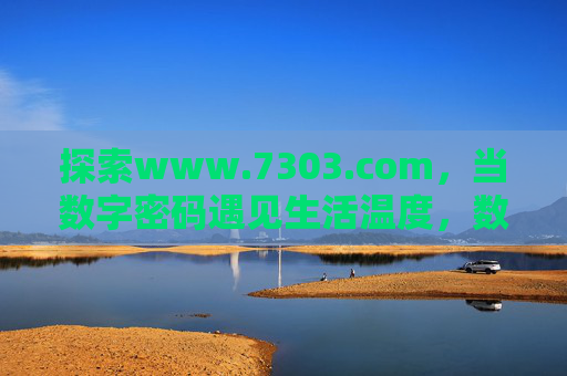 探索www.7303.com，当数字密码遇见生活温度，数字密码遇见生活温度，探索www.7303.com