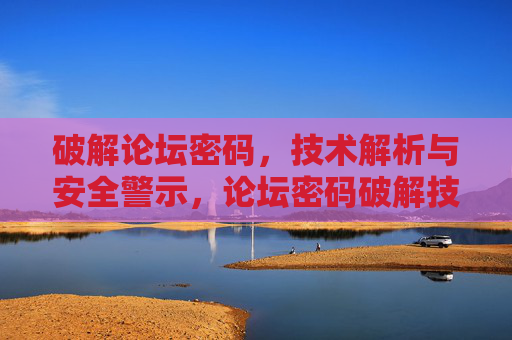 破解论坛密码，技术解析与安全警示，论坛密码破解技术解析与安全警示