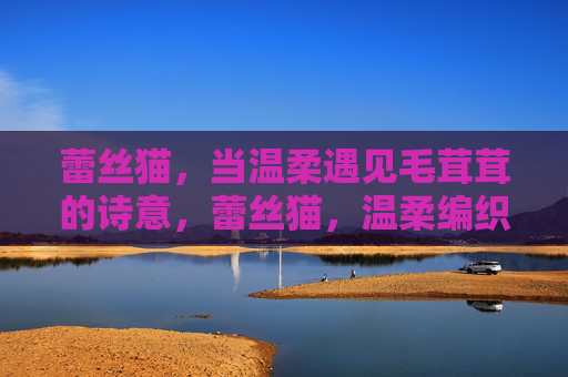 蕾丝猫,当温柔遇见毛茸茸的诗意,蕾丝猫,温柔编织毛茸茸的诗意 蕾丝猫,当温柔遇见毛茸茸的诗意,蕾丝猫,温柔编织毛茸茸的诗意
