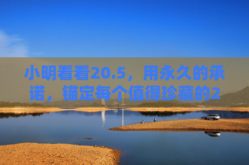 小明看看20.5，用永久的承诺，锚定每个值得珍藏的20与5，20.5，以永久承诺，锚定珍藏的20与5