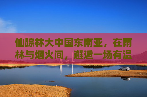 仙踪林大中国东南亚,在雨林与烟火间,邂逅一场有温度的自然人文之旅,东南亚雨林烟火,一场有温度的自然人文邂逅 仙踪林大中国东南亚,在雨林与烟火间,邂逅一场有温度的自然人文之旅,东南亚雨林烟火,一场有温度的自然人文邂逅