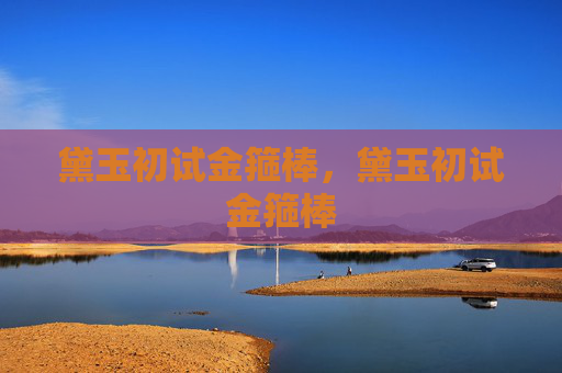 黛玉初试金箍棒,黛玉初试金箍棒 黛玉初试金箍棒,黛玉初试金箍棒