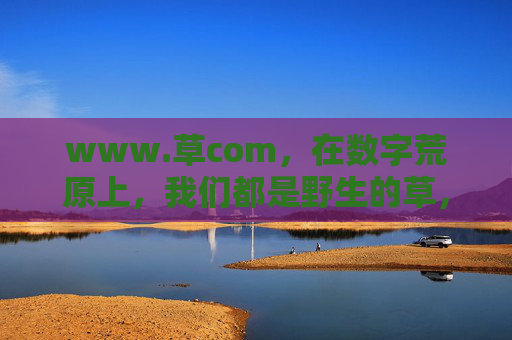 www.草com,在数字荒原上,我们都是野生的草,数字荒原上的野生草 www.草com,在数字荒原上,我们都是野生的草,数字荒原上的野生草