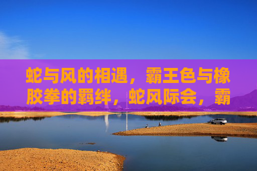 蛇与风的相遇,霸王色与橡胶拳的羁绊,蛇风际会,霸王色橡胶拳的羁绊 蛇与风的相遇,霸王色与橡胶拳的羁绊,蛇风际会,霸王色橡胶拳的羁绊