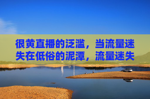 很黄直播的泛滥,当流量迷失在低俗的泥潭,流量迷失,低俗直播泛滥的泥潭 很黄直播的泛滥,当流量迷失在低俗的泥潭,流量迷失,低俗直播泛滥的泥潭