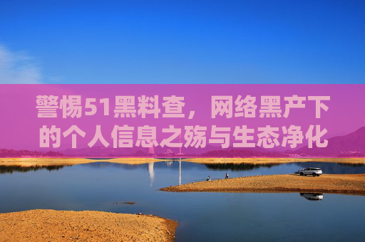 警惕51黑料查,网络黑产下的个人信息之殇与生态净化之路 警惕51黑料查,网络黑产下的个人信息之殇与生态净化之路
